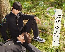 网店运营好还是seo好