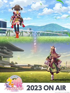 seo高级优化简历